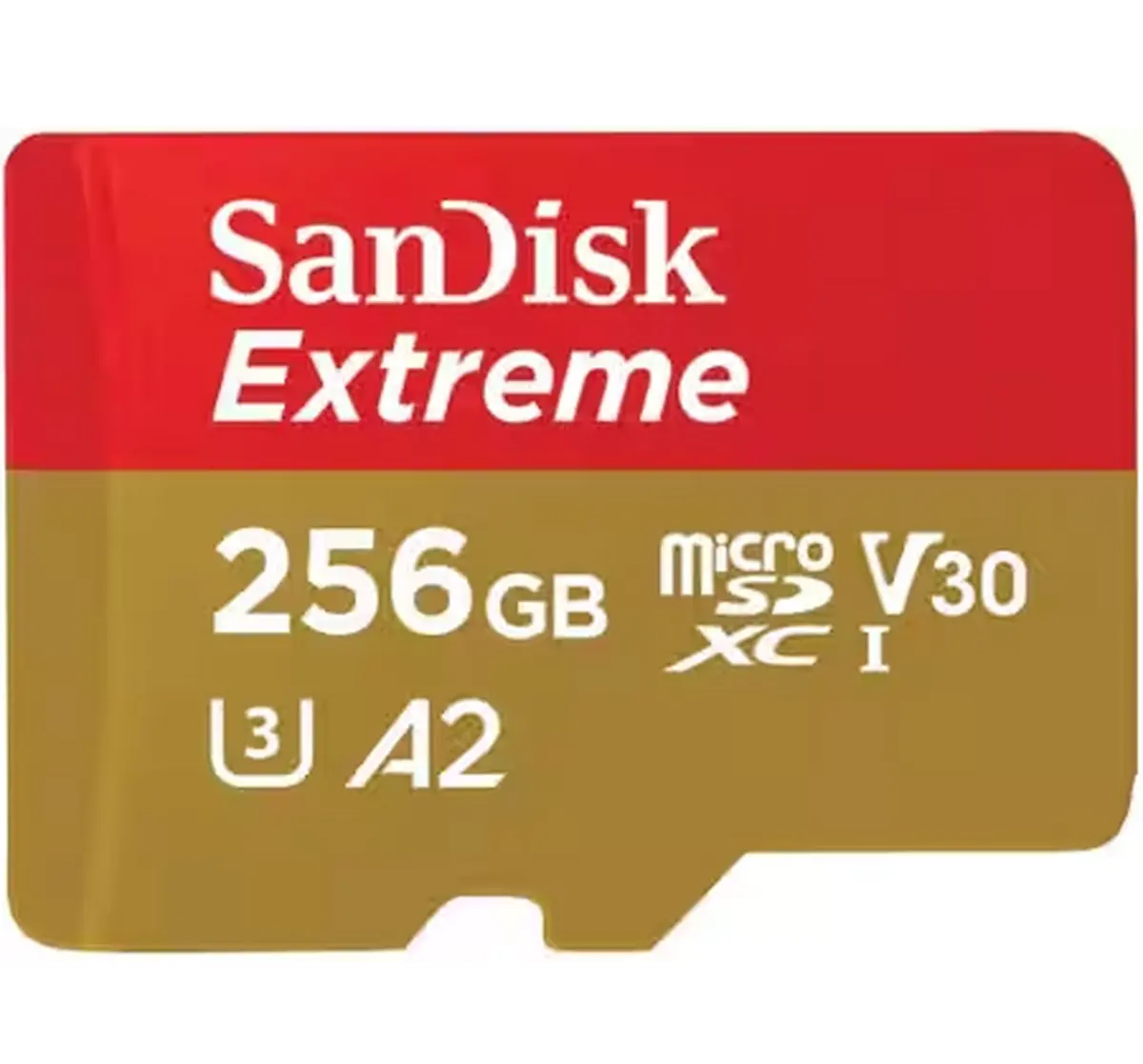 256-microSD-main.png