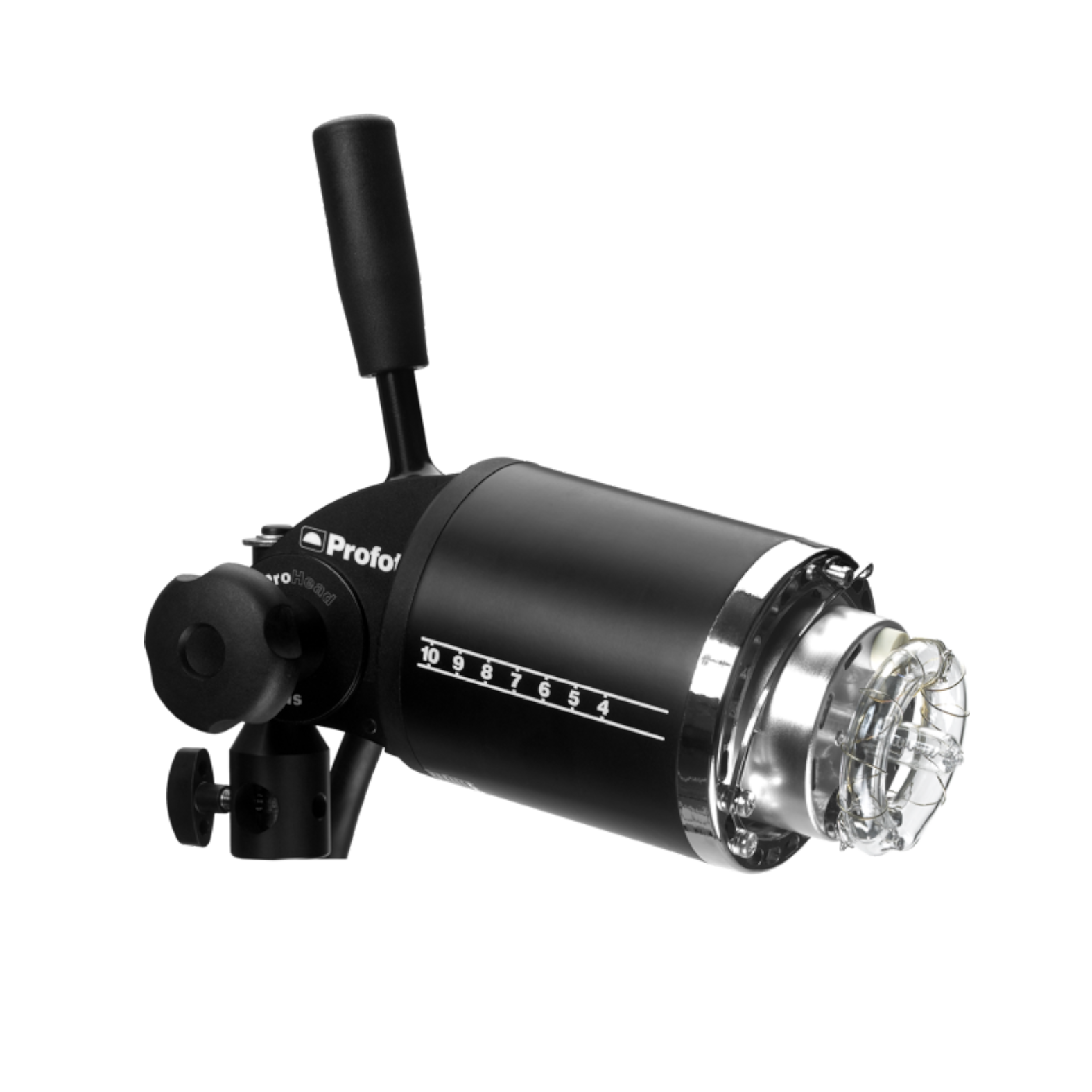 ProHead Plus Media Dog Rental.png