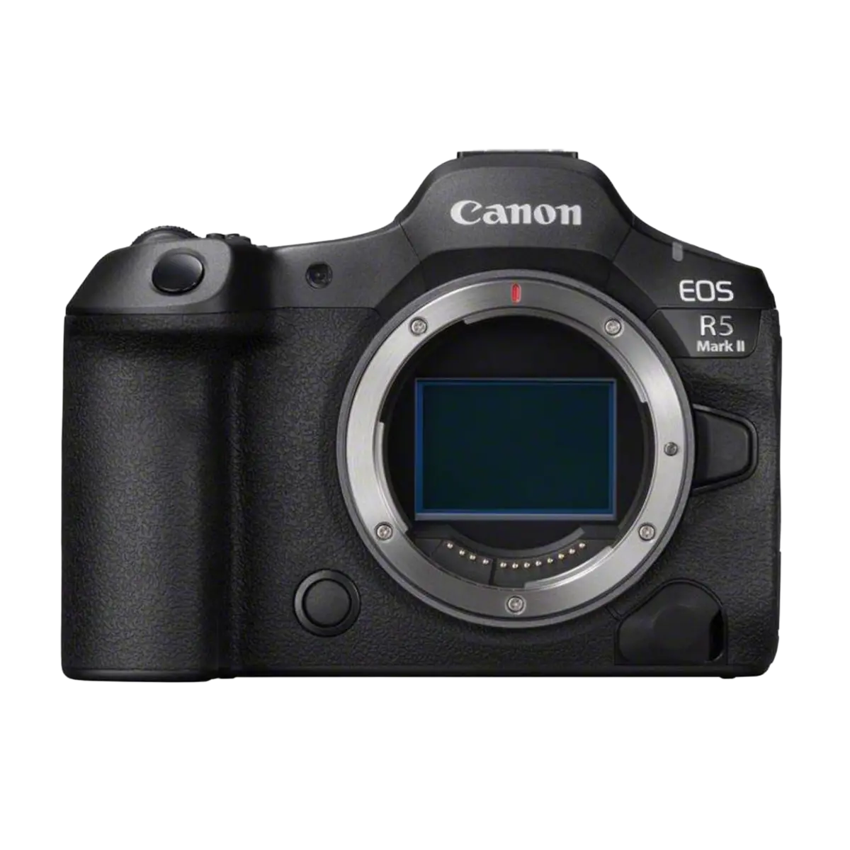 Mirrorless