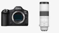 Bird Watchers - Canon R5 mark ii & Canon RF 200-800