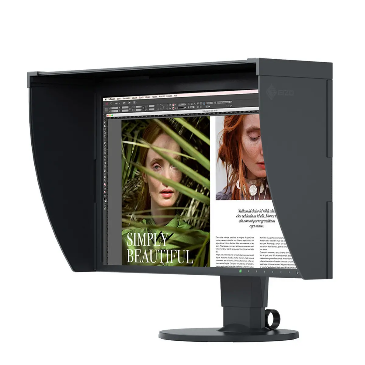 Eizo-248-2.jpg