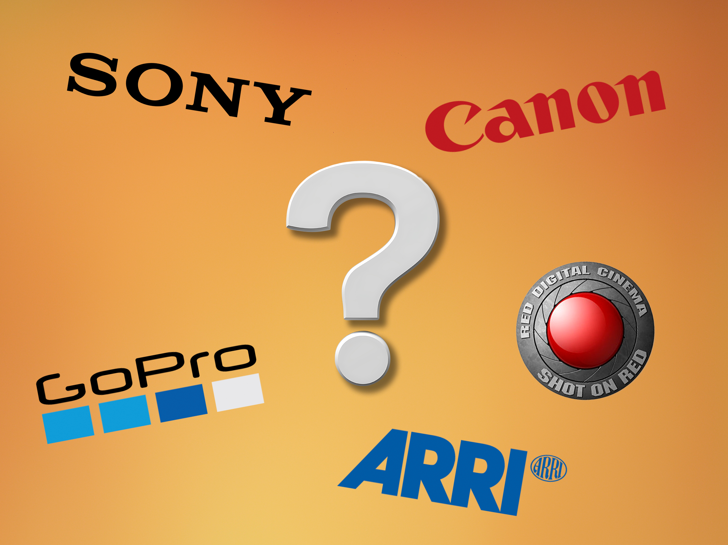 Hardest working camera brands 2019